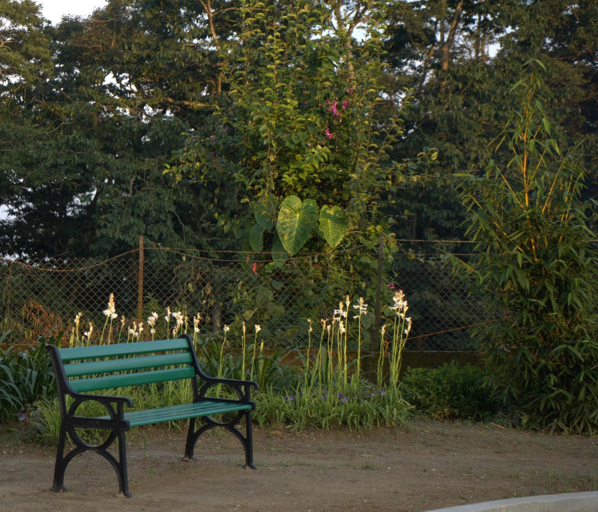 Niharika, The Old Place Kalimpong Kültér fotó